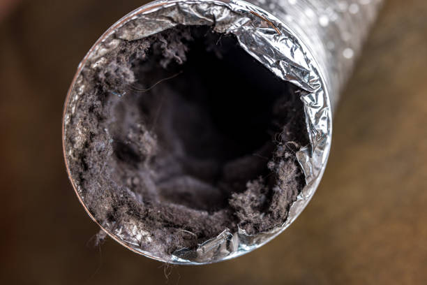 Best Best Air Duct Cleaning Company  in Bear Creek, AL