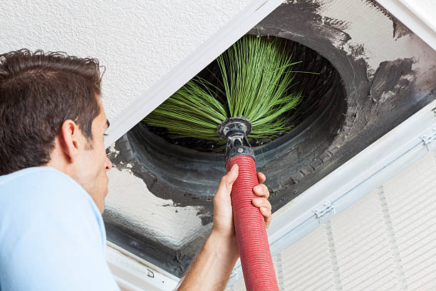 Best Air Vent Cleaning Services  in Bear Creek, AL