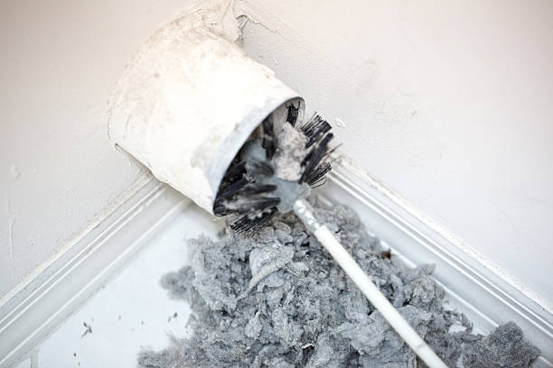 Best Air Duct Cleaning Company Near Me  in Bear Creek, AL